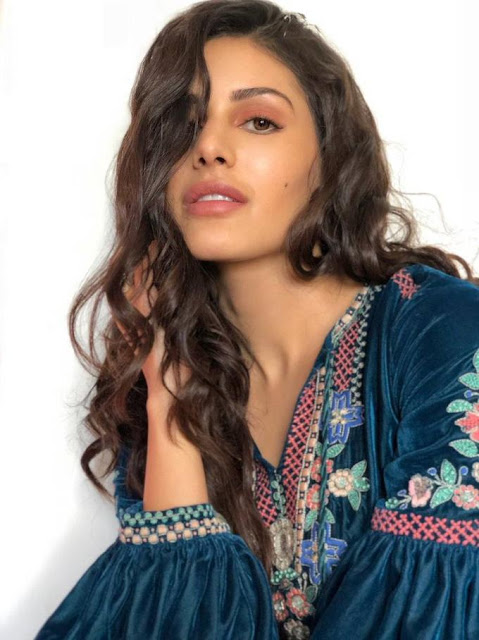Hot Actress Amyra Dastur Photo Shoot In Blue Dress 32